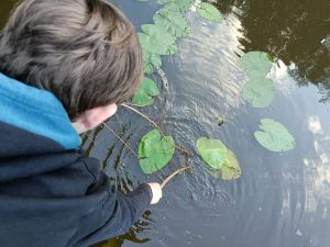 De natuur in